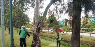 Gobierno de Morelia trabaja en el cuidado de áreas verdes y espacios públicos