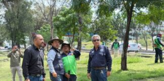 Realiza Gobierno de Morelia trabajos de mantenimiento en el periférico Revolución