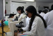 POSGRADO NICOLAITA, RENOVADO Y DE CALIDAD EN GESTIÓN DE YARABÍ ÁVILA