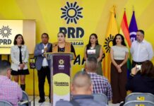 PRD Michoacán fortalece su organización territorial; reunirá en Nahuatzen a pueblos originarios