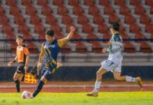 LOS ZORROS MANTIENEN SU PASO PERFECTO