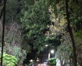 Avanza la iluminación de puentes peatonales en avenida Solidaridad