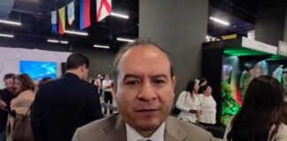 Caso Janeth se investiga como feminicidio; hay probable responsable identificado: Vicefiscal