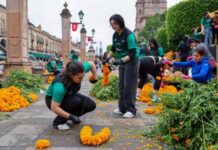 Gobierno de Morelia, escuelas y grupos sociales, dan vida a la tradición de Día de Muertos