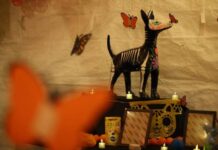 Gobierno de Morelia honra a los animalitos que dejaron huella en el corazón