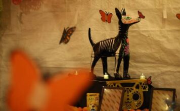 Gobierno de Morelia honra a los animalitos que dejaron huella en el corazón