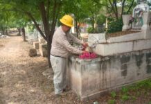 SSM prepara panteones seguros y libres de dengue por celebración de Noche de Muertos