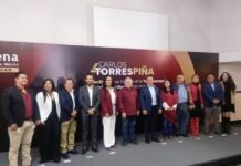 Alianzas de Morena las define la dirigencia nacional: Torres Piña