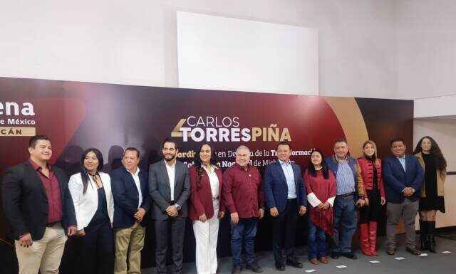 Alianzas de Morena las define la dirigencia nacional: Torres Piña
